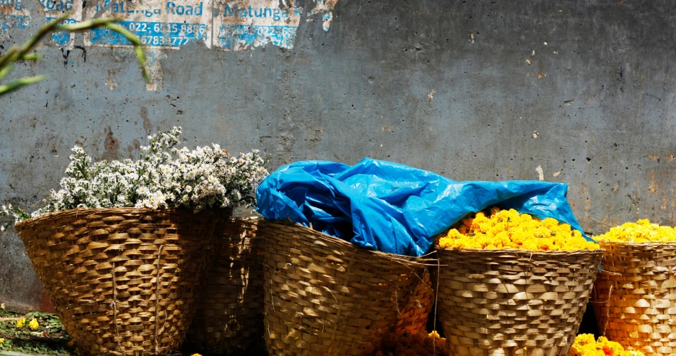 Dadar Guide: Where Marathi Culture and City Life Blend