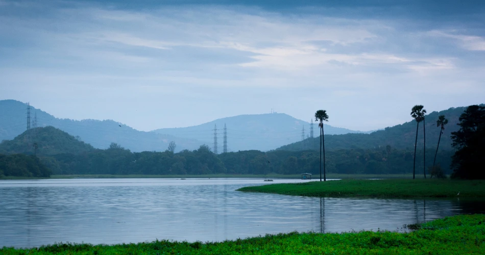 Powai Unpacked: Lakeside Views and Urban Chic