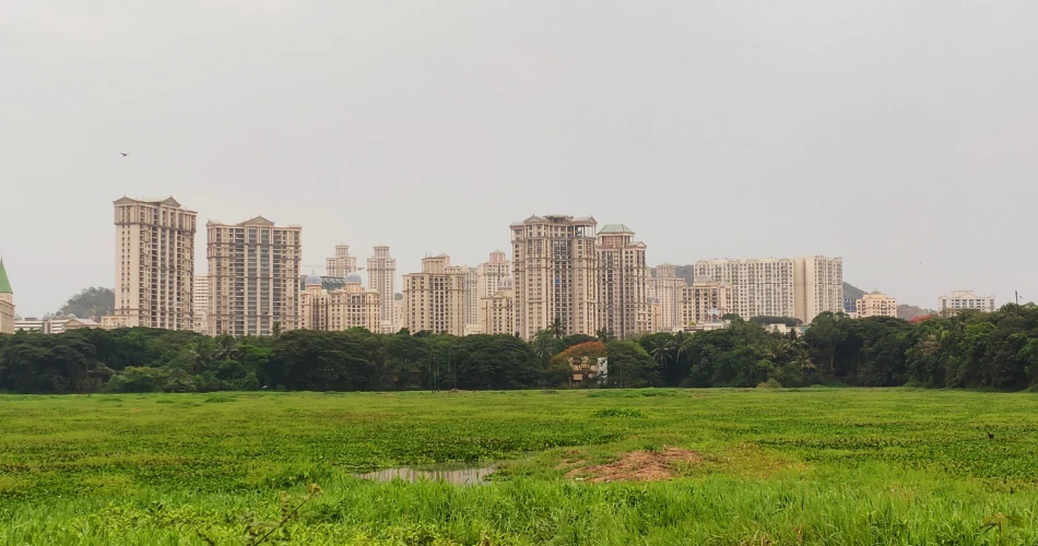 Powai Unpacked: Lakeside Views and Urban Chic